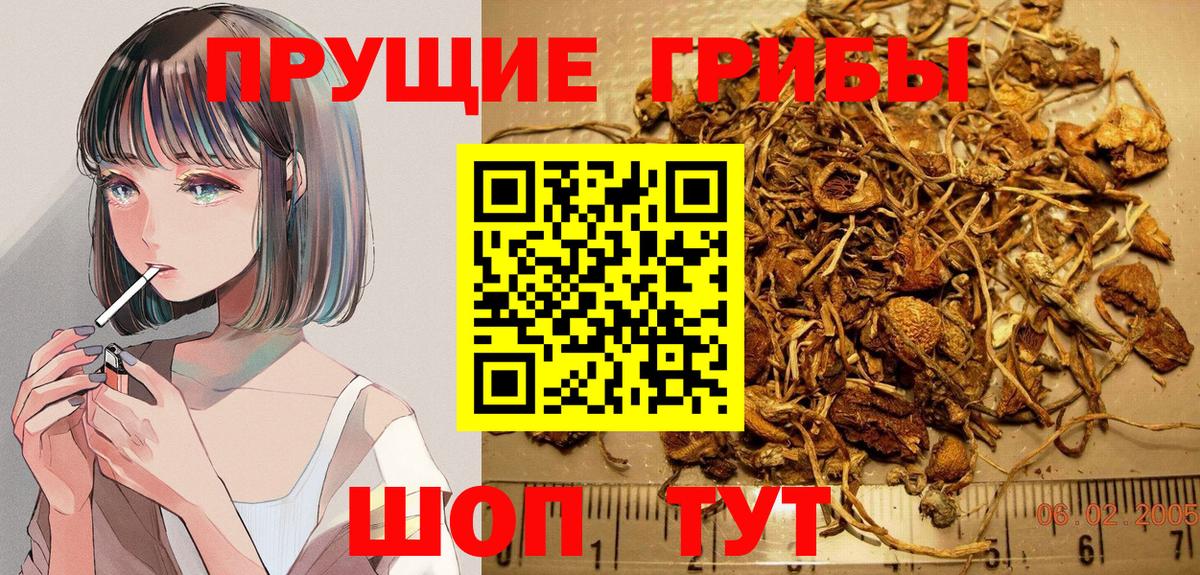сколько стоит  Галлюциногенные грибы GOLDEN TEACHER  Вход с VPN  Галлюциногенные грибы ЛСД  Мариинск 